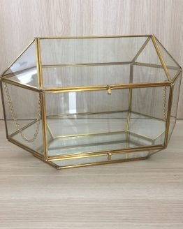 wishing well hire auckland new zealand