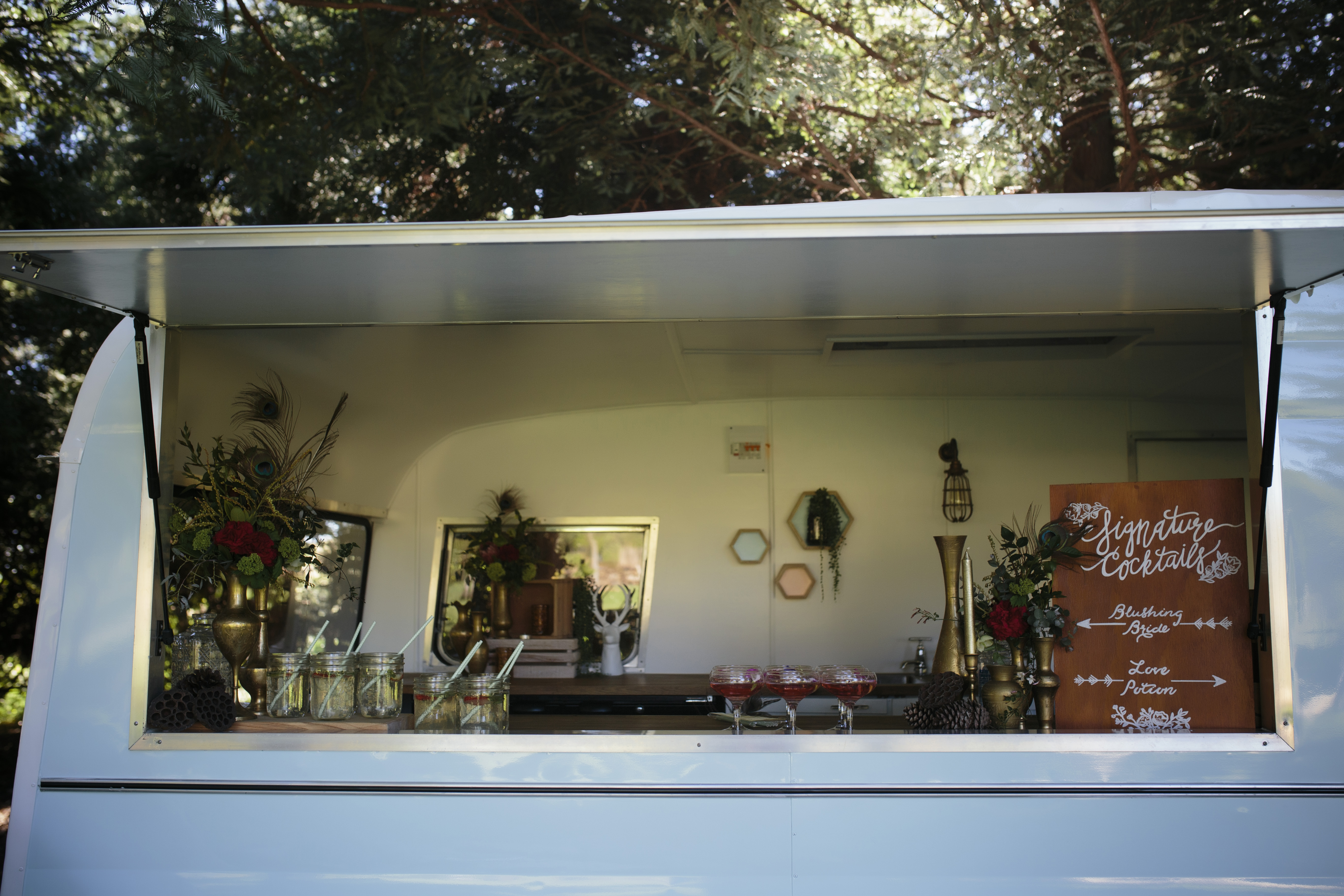 woodland styled shoot nz