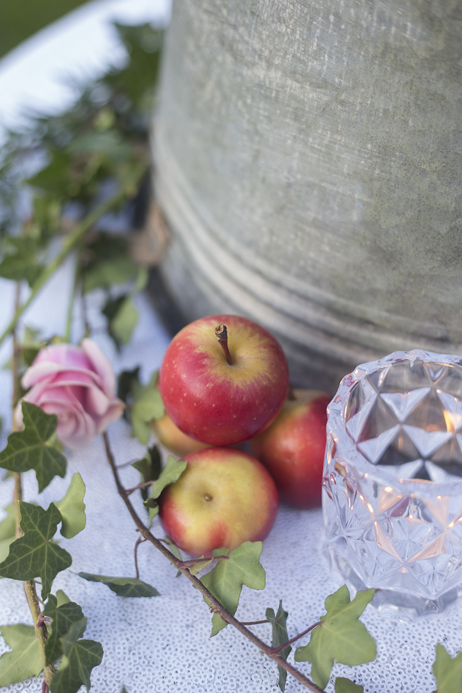 glacier tealight hire nz