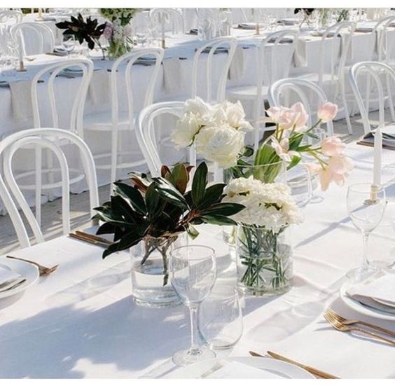 white bentwood chair hire auckland