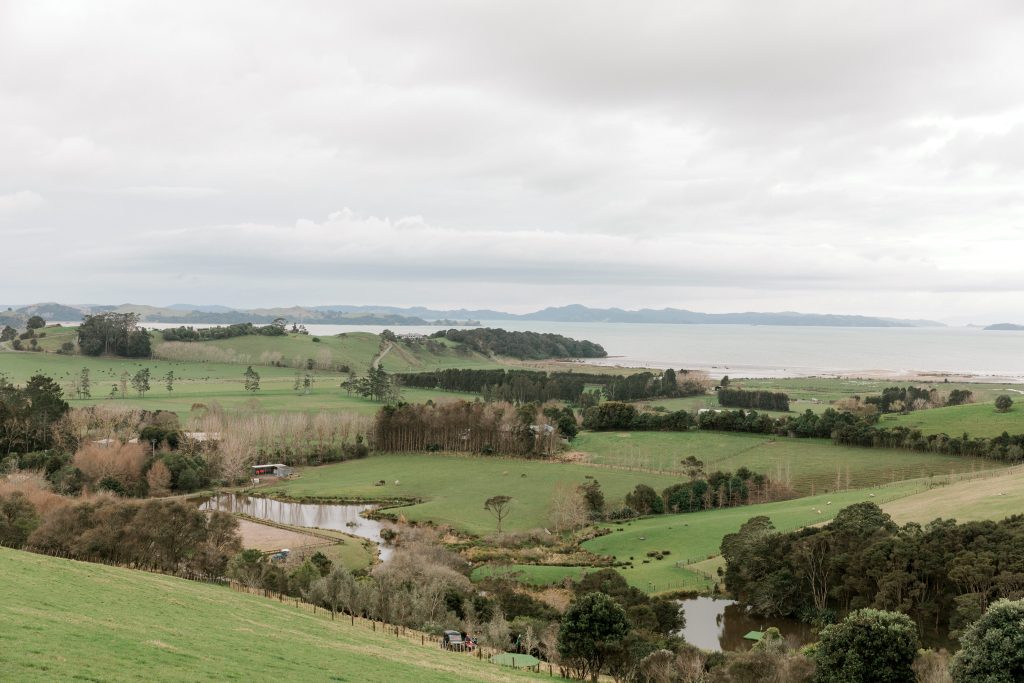 kauri bay boomrock styled shoot