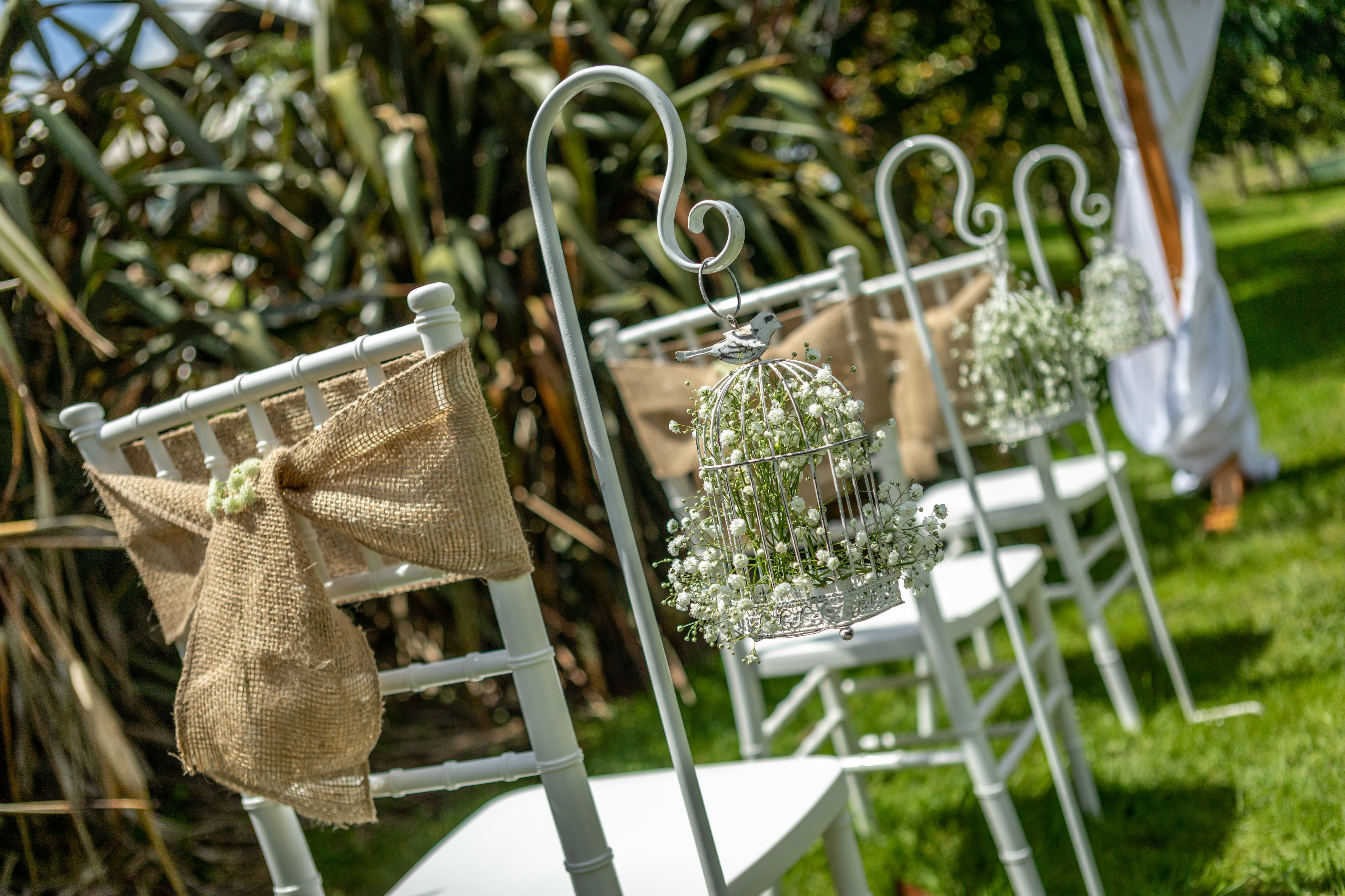 shepherd hook hire auckland