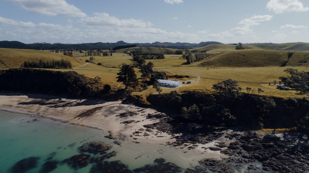 Baylys Farm // Bay of Islands wedding venue