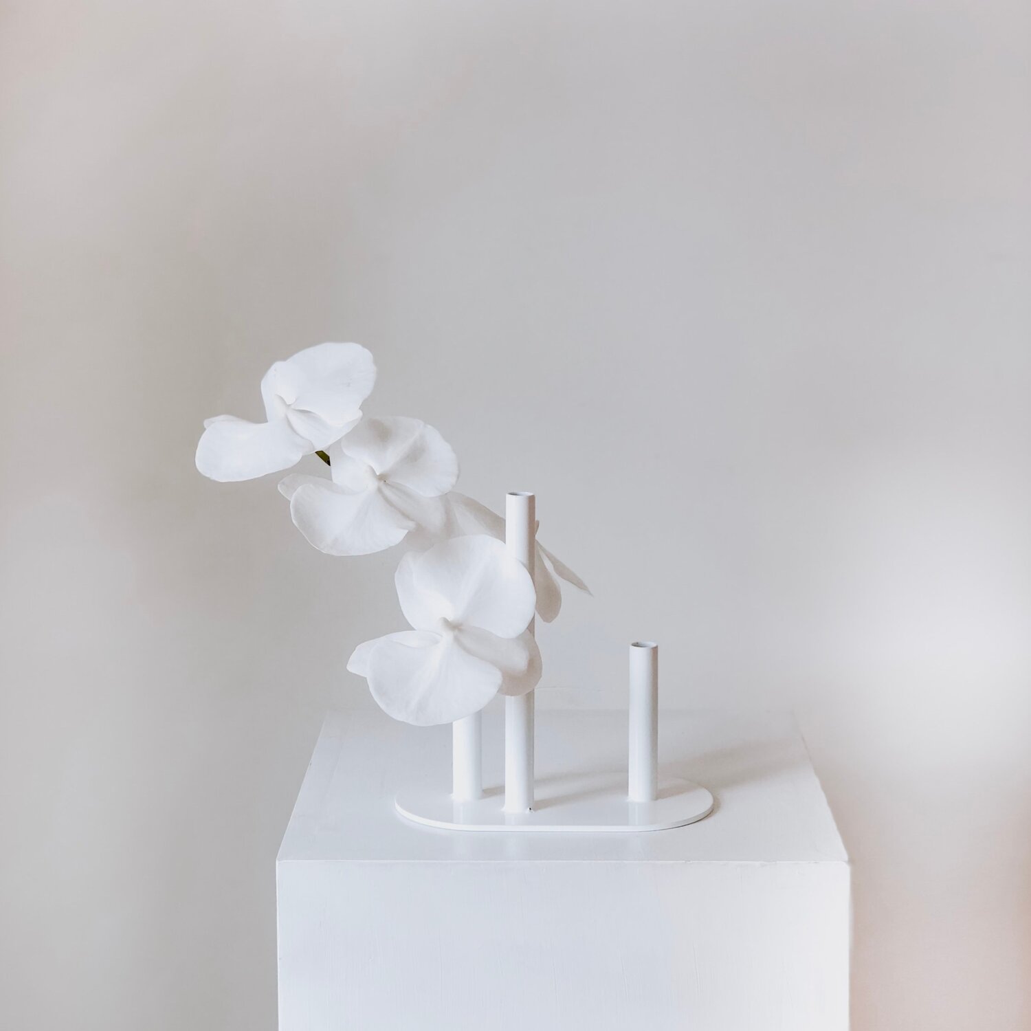 stylish vase hire auckland nz