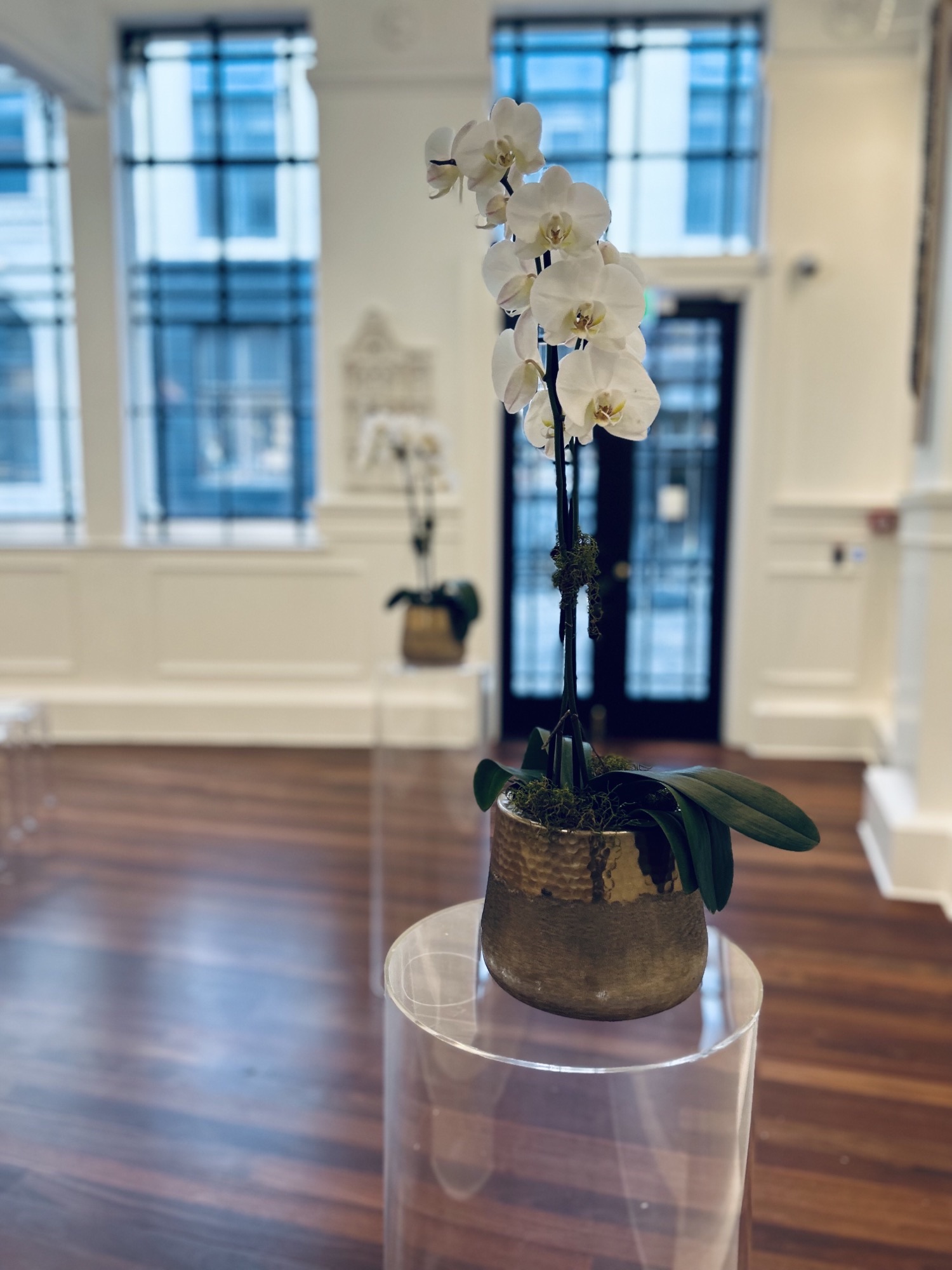 ghost chair hire auckland nz