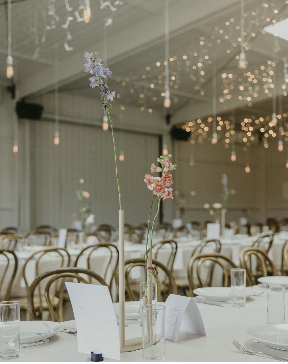 hire minimalist bud vases in beige colour auckland nz