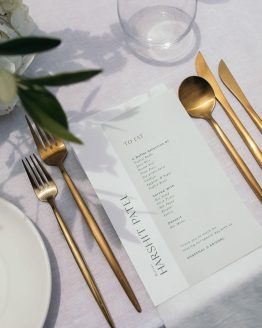 Coloured Cutlery Hire