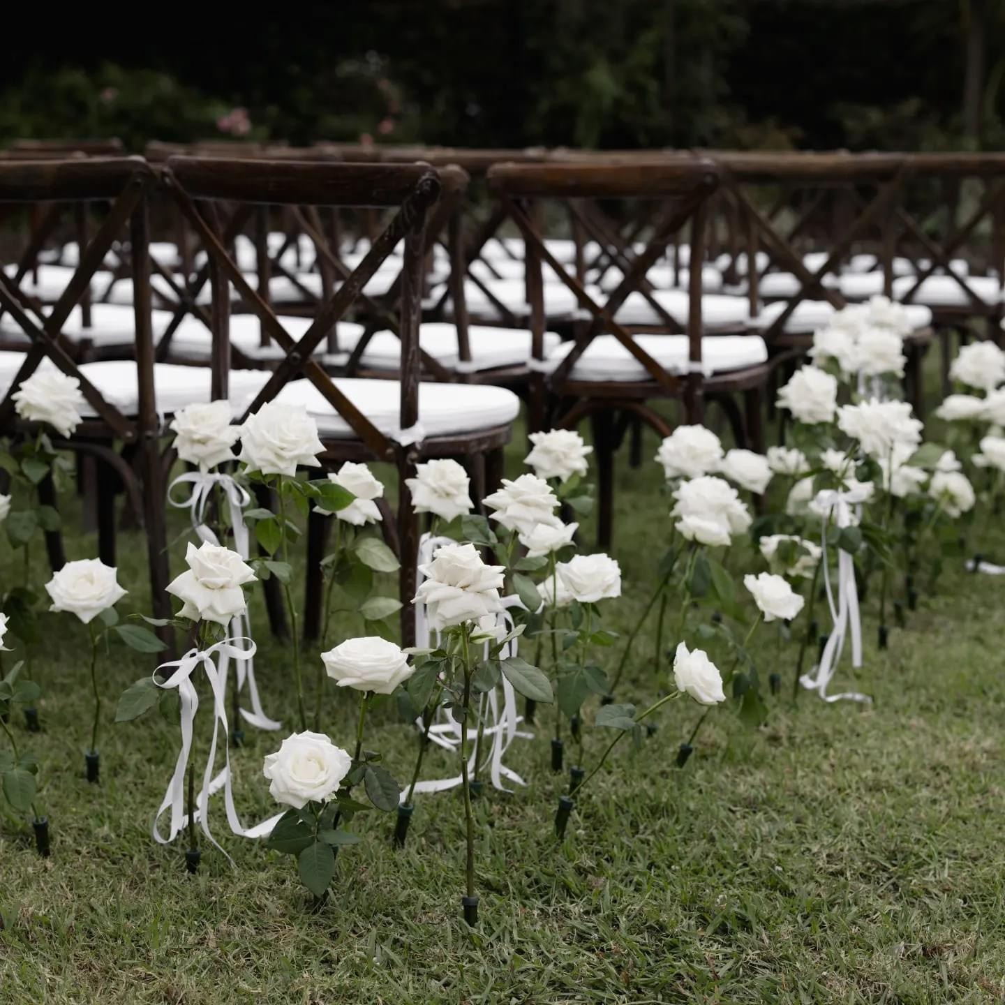 brown cross back chair hire pukekohe nz