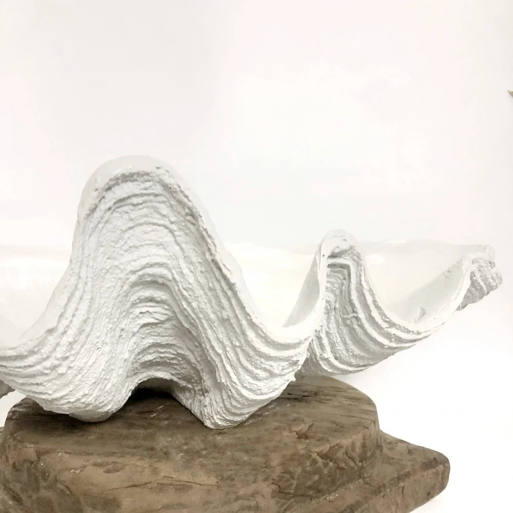 clamshell oyster bar hire auckland nz